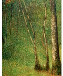 Georges Seurat, Sous-bois à Pontaubert (Wald in Pontaubert)