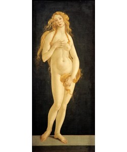 Sandro Botticelli, Venus