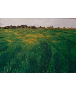 Felix Vallotton, Un champ d’avoines vertes