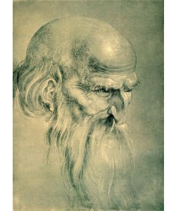 Albrecht Dürer, Kopf eines Apostels