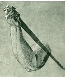 Albrecht Dürer, Armstudie