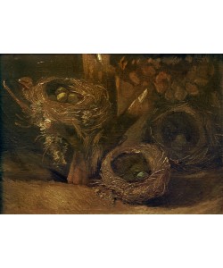 Vincent van Gogh, Vogelnester