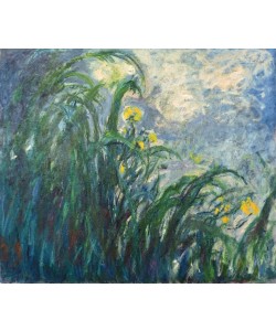 Claude Monet, Les Iris jaunes (Gelbe Schwertlilien)