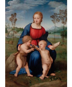 Raffael, Madonna del Cardellino