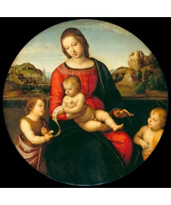 Raffael, Madonna Terranuova