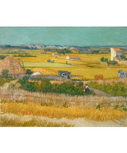 Vincent van Gogh, Die Ernte