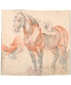 Peter Paul Rubens, Gesatteltes Pferd