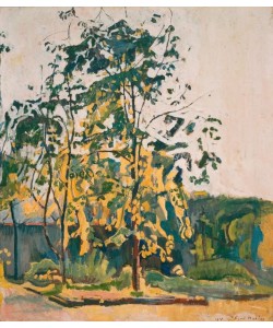 Ferdinand Hodler, Bäume im Ateliergarten