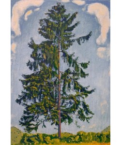 Ferdinand Hodler, Tanne bei Chamby