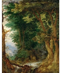 Jan Brueghel der Ältere, Waldlandschaft