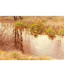 Gustaf Edolf Fjaestad, Sommerliche Uferlandschaft
