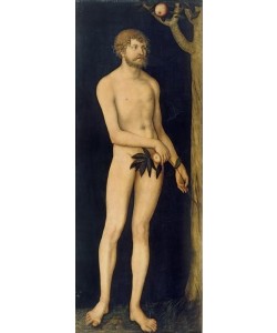 Lucas Cranach der Ältere, Adam