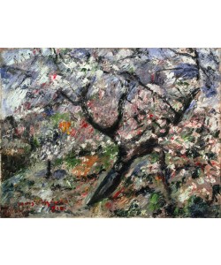 Lovis Corinth, Blühender Apfelbaum