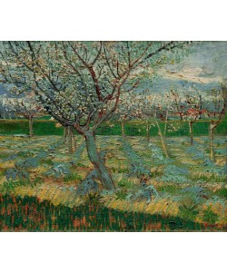 Vincent van Gogh, Blühender Obstgarten mit Aprikosenbäumen
