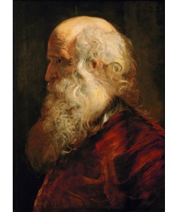 Peter Paul Rubens, Studienkopf eines Greises