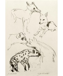 Lovis Corinth, Tierstudien (Füchse und Schakale)