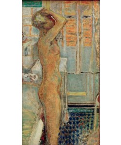 Pierre Bonnard, Nu gris de profil