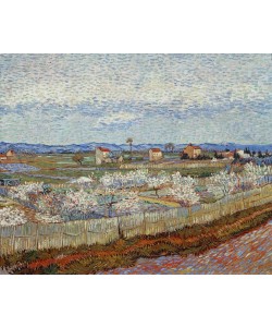 Vincent van Gogh, Blühende Pfirsichbäume