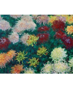 Claude Monet, Massif de chrysanthèmes