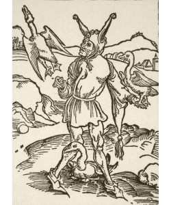 Albrecht Dürer, Der Gänsenarr