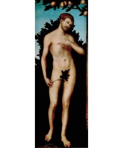 Lucas Cranach der Ältere, Adam