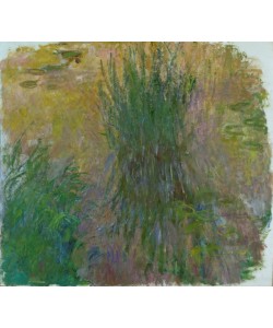 Claude Monet, Nymphéas