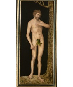 Lucas Cranach der Ältere, Adam