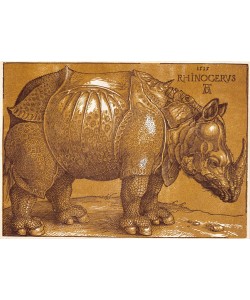 Albrecht Dürer, Rhinozeros