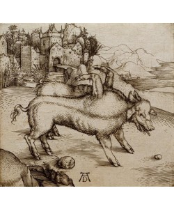 Albrecht Dürer, Die Sau von Landser