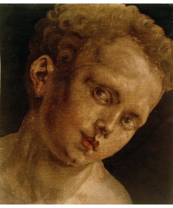 Albrecht Dürer, Knabenkopf nach rechts geneigt