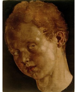 Albrecht Dürer, Knabenkopf nach links geneigt