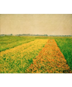 Gustave Caillebotte, La plaine de Gennevilliers, champs jaunes