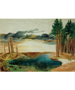 Albrecht Dürer, Weiher im Walde