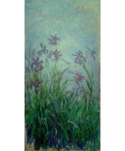 Claude Monet, Iris mauves