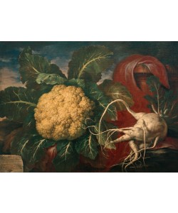 Bartolomeo Bimbi, Gigantischer Kohl und Meerrettisch