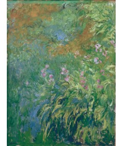 Claude Monet, Iris