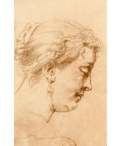 Peter Paul Rubens, Weiblicher Profilkopf