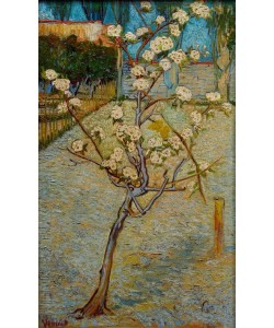 Vincent van Gogh, Birnenbaum in Blüte