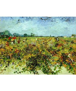 Vincent van Gogh, Der grüne Weingarten