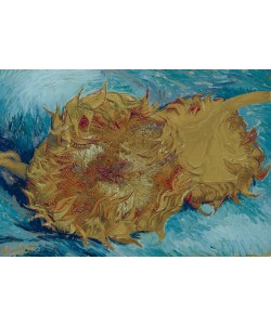 Vincent van Gogh, Zwei abgeschnittene Sonnenblumen