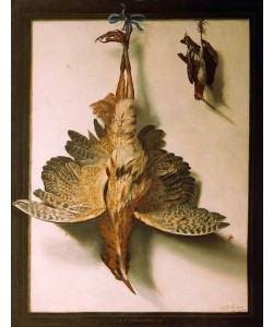Frans Cuyck van Meyerop, Trompe d’oeil mit toten Vögeln