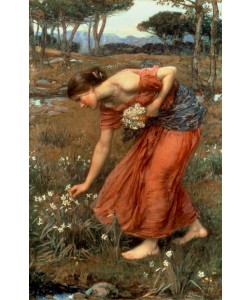 John William Waterhouse, Narcissus