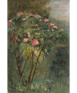 Gustave Caillebotte, Le rosier
