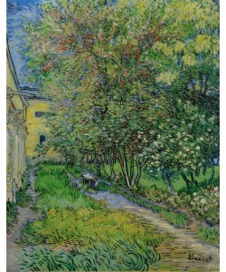 Vincent van Gogh, Garten des Hospitals Saint-Paul