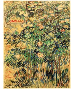 Vincent van Gogh, Blühender Busch im Park der Heilanstalt