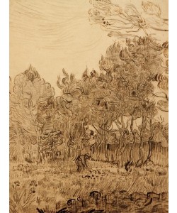 Vincent van Gogh, Im Park der Heilanstalt