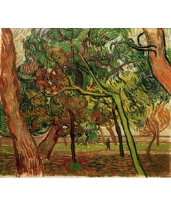 Vincent van Gogh, Studie mit Fichten im Herbst