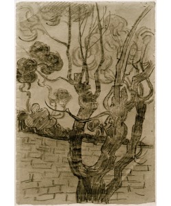 Vincent van Gogh, Pinie und Mauer im Park