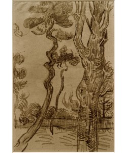 Vincent van Gogh, Pinie im Park