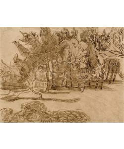 Vincent van Gogh, Piniengruppe im Park